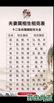 九字当头跑是什么生肖?九字当头跑最准确一肖 九字当头跑是什么生肖?九字当头跑最准确一肖