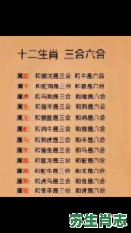二八三九可相连是什么生肖？二八三九最准确生肖