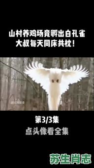 农民视它家中宝是什么生肖?农民视它家中宝正确答案 农民视它家中宝是什么生肖?农民视它家中宝正确答案