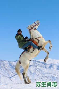 横刀立马是什么生肖？横刀立马最正确一肖