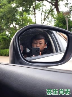 画龙画虎是什么生肖？画龙画虎准确答案一肖