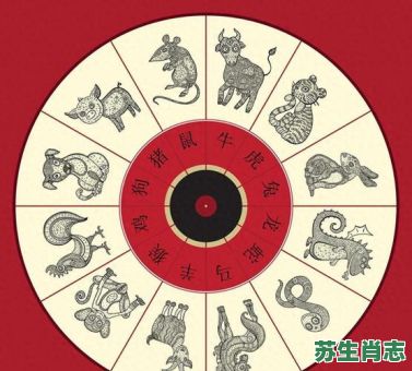 随机应变是什么生肖？随机应变打一准确生肖