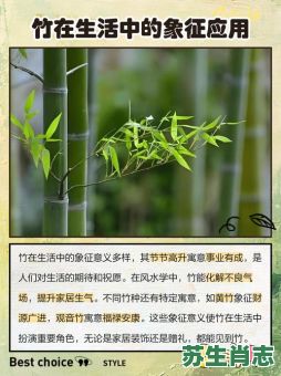 竹有多少节是什么生肖？竹有多少节打正确一肖