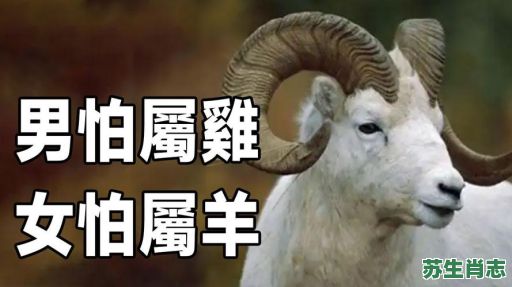 人人都怕它是什么生肖？人人都怕它打一正确动物