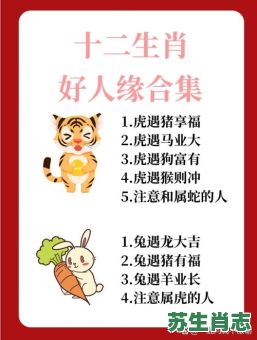 长袖善舞是什么生肖？长袖善舞最正确生肖