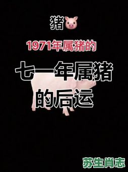 1971年是什么生肖？1971年属猪的最佳配偶