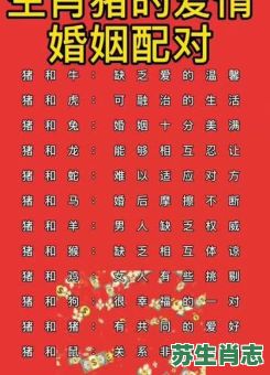 偷寒送暖是什么生肖？偷寒送暖打一准确生肖