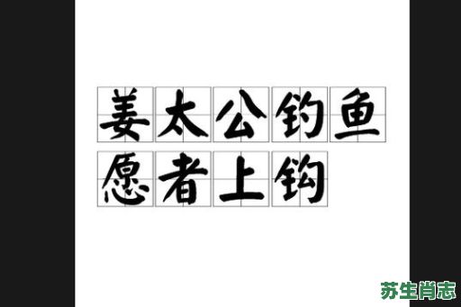 愿者上钩是什么生肖？愿者上钩打一准确生肖