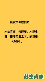松柏木是什么生肖？松柏木最正确一肖