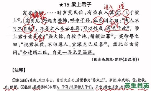 粱上君子是什么生肖？梁上君子打一准确动物