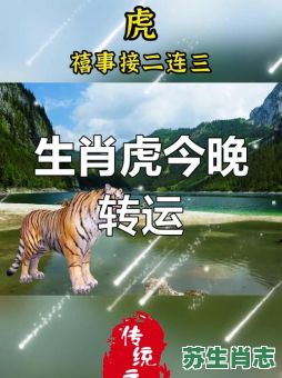 虎开零六中本期是什么生肖？虎开零六中本期猜生肖