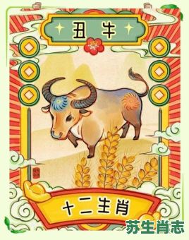 三九看数一味真是什么生肖？三九看数一味真正确答案