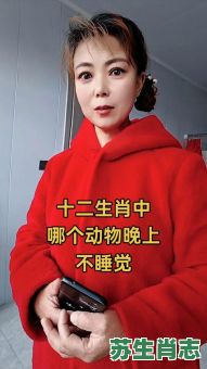 晚上不睡觉的动物是什么生肖?晚上不睡打一准确生肖 晚上不睡觉的动物是什么生肖?晚上不睡打一准确生肖