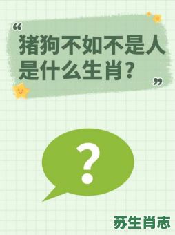 三四试目是什么生肖？三四拭目打准确生肖