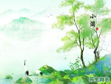 风吹稻花满村香是什么生肖?风吹稻花满村香准确答案 风吹稻花满村香是什么生肖?风吹稻花满村香准确答案