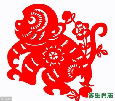 抢劫是什么生肖？打劫打一最准确生肖