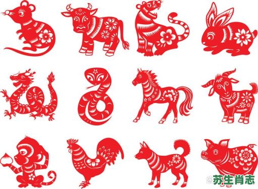 怕光的动物是什么生肖？十二生肖谁最怕光