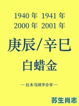 白蜡金是什么生肖？白蜡金打准确生肖