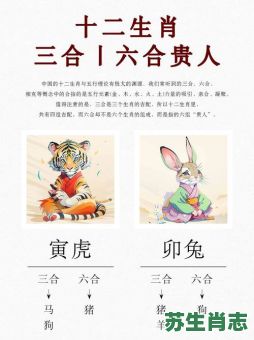猪三合生肖是什么？猪的三合和六个合