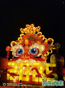 五彩斑斓称大王是什么生肖?五彩斑斓最正确一肖 五彩斑斓称大王是什么生肖?五彩斑斓最正确一肖