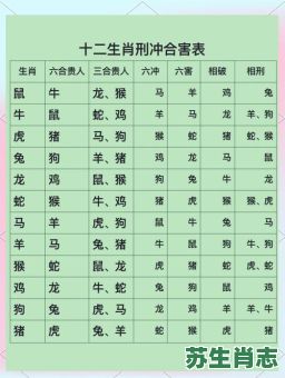 虎的对冲生肖是什么？12生肖相冲相克表