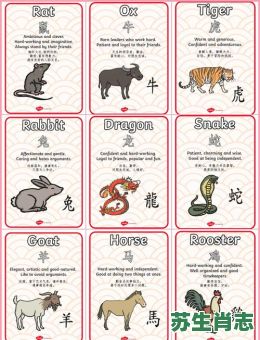 儿子是什么生肖？“儿子”打一最佳生肖