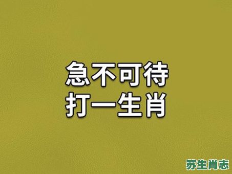 急是什么生肖？急准确打一最佳生肖