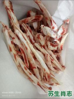 软骨头是什么生肖?软骨头打一准确动物 软骨头是什么生肖?软骨头打一准确动物