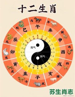 识二五而不知十是什么生肖？识二五不知十最佳答案