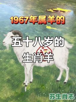 1967年是什么生肖？1967年是属羊吗