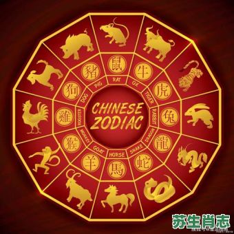 欲钱花园里找是什么生肖？花园里找最准确的生肖