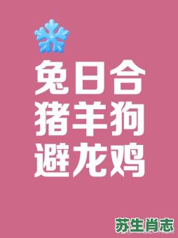 上面毛下面毛晚上毛对毛是什么生肖？上有毛下有毛,晚上睡觉毛对毛是什么