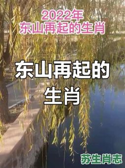 东山在起是什么生肖？东山再起打一准确动物
