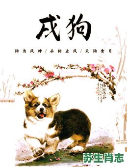 狗上面是什么生肖？十二生肖排序表