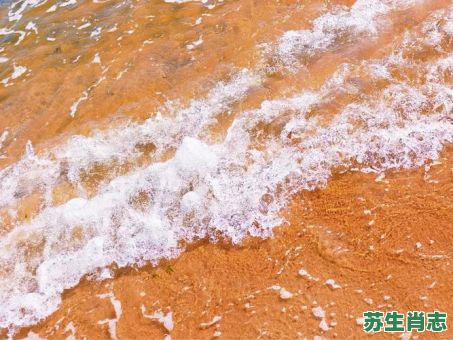 海浪是什么生肖？海浪打一准确生肖