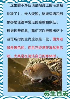 九洲是什么生肖？四海九洲打一最佳动物