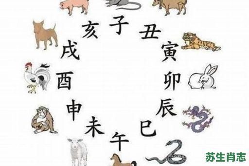 孤儿是什么生肖？十二生肖什么是孤肖