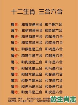 轮船是什么生肖？轮船是指哪几个生肖