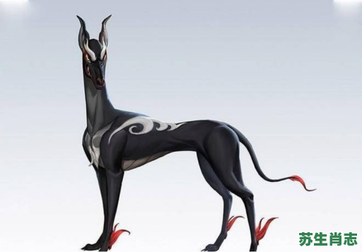 天犬是什么生肖？十二生肖谁是哮天犬