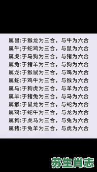 生肖狗后面是什么？狗最冲的生肖
