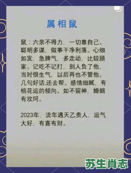 84年是什么生肖？84年出生2025年多大了