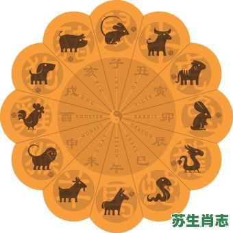 爱哭的生肖是什么生肖？十二生肖什么动物爱哭