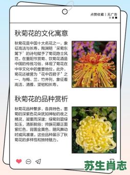 秋菊是什么生肖？菊花打一正确生肖
