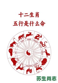 十二生肖都是什么命？12个属相都是什么命