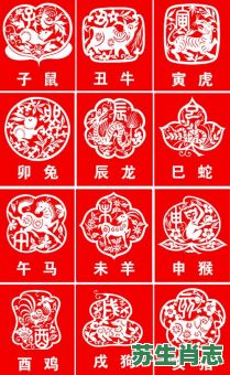 16号是什么生肖？十二生肖最旺数字