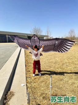 放风筝是什么生肖？放风筝打一数字