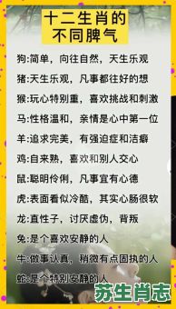 旧情是什么生肖？新人换旧人打一生肖