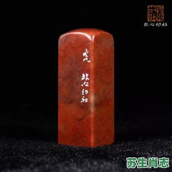 石肖是什么生肖？石径指什么动物