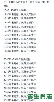62年是什么生肖？二OO九年出生属啥生肖