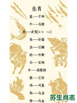 细数是什么生肖？细数是什么数字